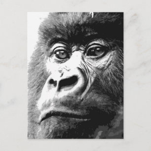 Gorilla Briefkaart
