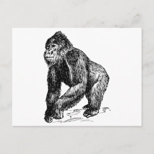Gorilla Briefkaart