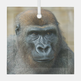 Gorilla Brothers - GoBros Glas Ornament