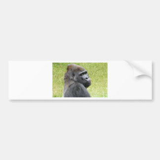 Gorilla Bumpersticker