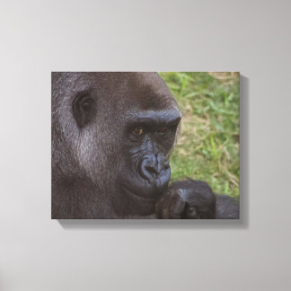 Gorilla Canvas Afdruk