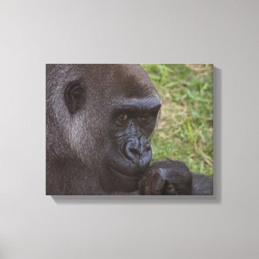 Gorilla Canvas Afdruk (Voorkant)