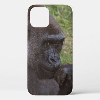 Gorilla iPhone 12 Hoesje