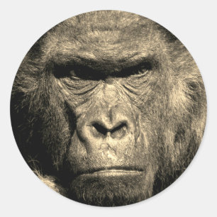 Gorilla Classic Round Sticker