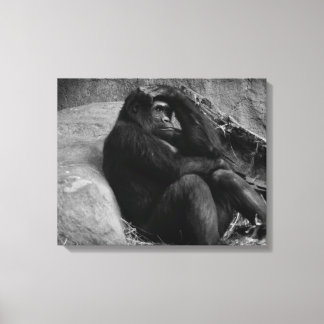 Gorilla Contemplatie - Zwart en Wit Foto Canvas Afdruk