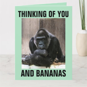 GORILLA DENKT AAN JOU KAARTEN