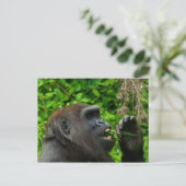 Gorilla Eating Salad Briefkaart (Staand voorkant)