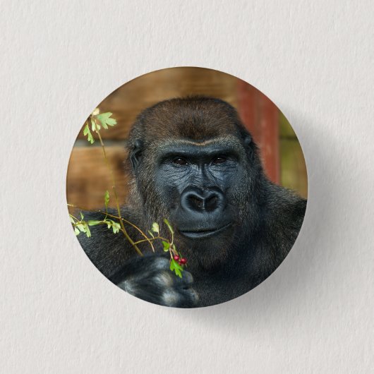 Gorilla en zijn bessen ronde button 3,2 cm (Voorkant)