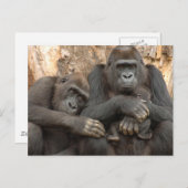 Gorilla Family Briefkaart (Voorkant / Achterkant)