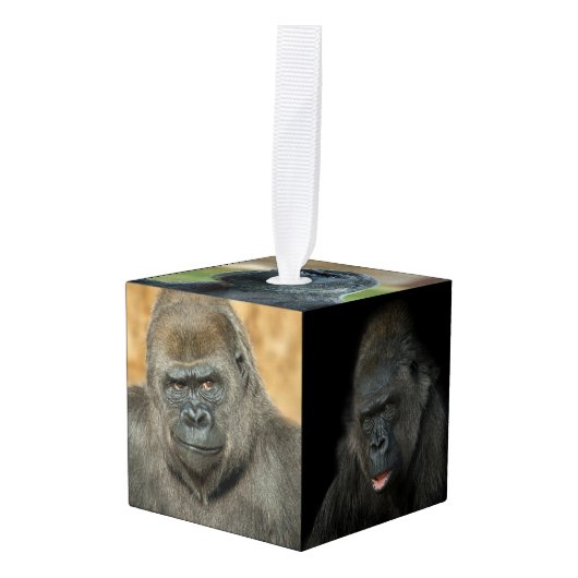 Gorilla Family Kubus Ornament (Voorkant hoekig)