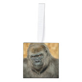 Gorilla Family Kubus Ornament (Voorkant)