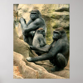 Gorilla Family Poster