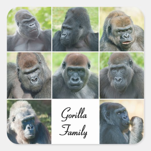 Gorilla Family Vierkante Sticker (Voorkant)