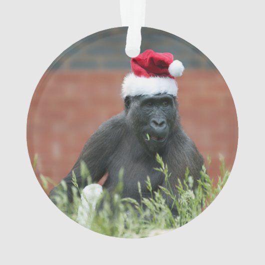 Gorilla Festive Cheer Unleashed (dos)