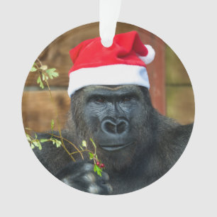 Gorilla Festive Cheer Unleashed