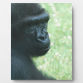 Gorilla Gaze Plaque Fotoplaat (Voorkant)