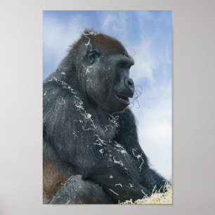 Gorilla Getting Messy Poster