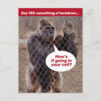 Gorilla Gevangenisvergrendeling tijdens de schuilp