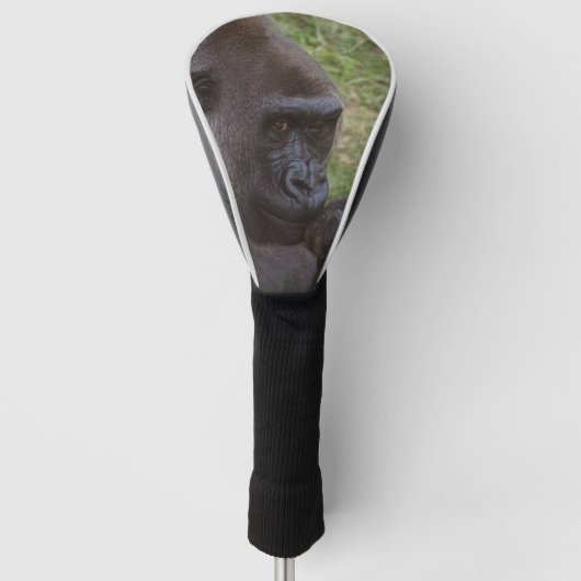 Gorilla Golfheadcover (Voorkant)