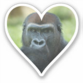 Gorilla Heart Sticker (Voorkant)