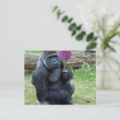 Gorilla Holding Flower Briefkaart (Staand voorkant)