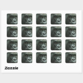 Gorilla in de Mist Stickers (Vel)