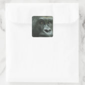 Gorilla in de Mist Stickers (Tas)