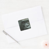 Gorilla in de Mist Stickers (Envelop)
