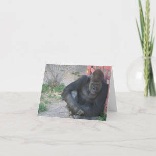 Gorilla in de zon bedankkaart