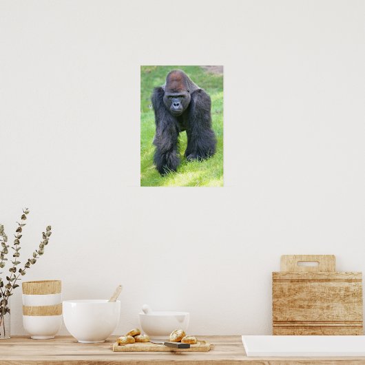 gorilla in het oerwoud poster (Keuken)