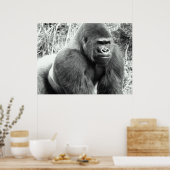 Gorilla in zwart-wit Poster (Keuken)