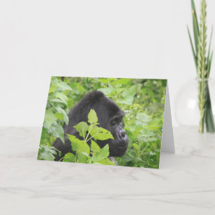 Gorilla Kaart - Blank aan de binnenkant