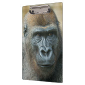 Gorilla Klembord (Links)