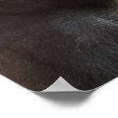 Gorilla Lope Close-up Poster (Hoek)