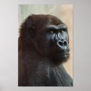 Gorilla Lope Close-up Poster