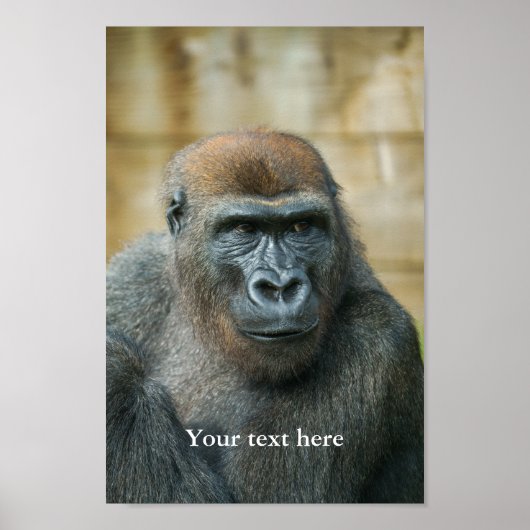Gorilla Lope Poster (Voorkant)