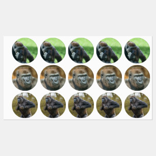 Gorilla Lope (Rond design) Labels