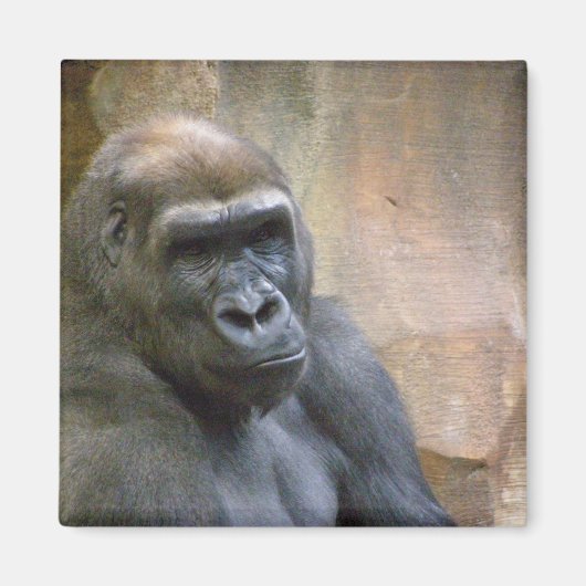GORILLA, magneet (Voorkant)