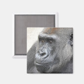 Gorilla Magnet (Recto/Verso)