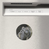 Gorilla & Magnet bébé (In Situ (Lave-vaisselle))