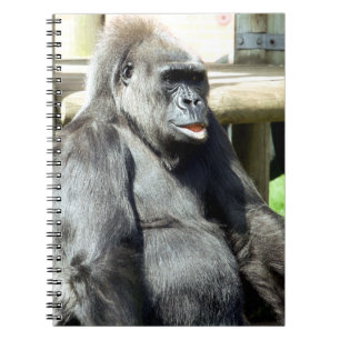 GORILLA NOTITIEBOEK