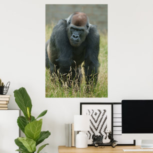 Gorilla onderweg door het hoge gras poster