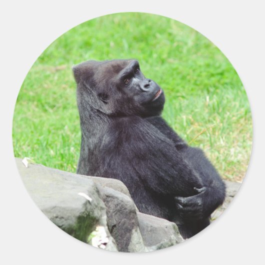 Gorilla Ontspannende Sticker (Voorkant)