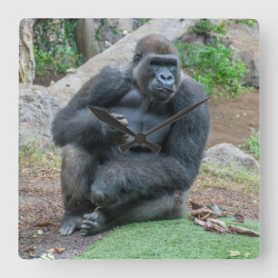 Gorilla op de klok van het zoo-vierkant