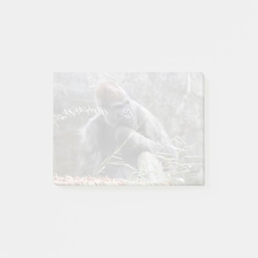 Gorilla Ozzie in Zoo Atlanta Post-it® Notes (Voorkant)