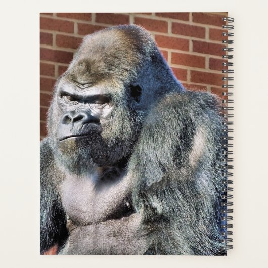 GORILLA PLANNER (Achterkant)