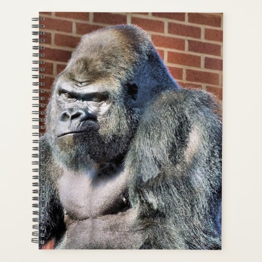 GORILLA PLANNER (Voorkant)
