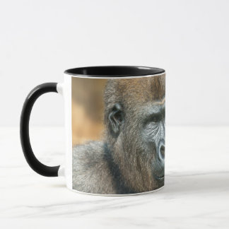 Gorilla Portrait Mok