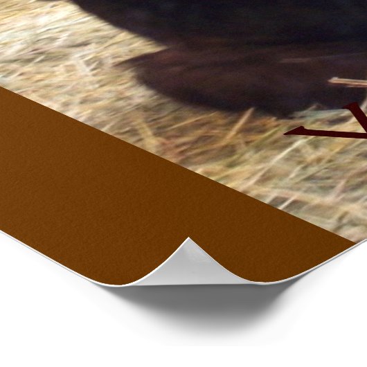 Gorilla Poster (Hoek)