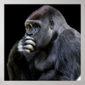 Gorilla Poster (Voorkant)